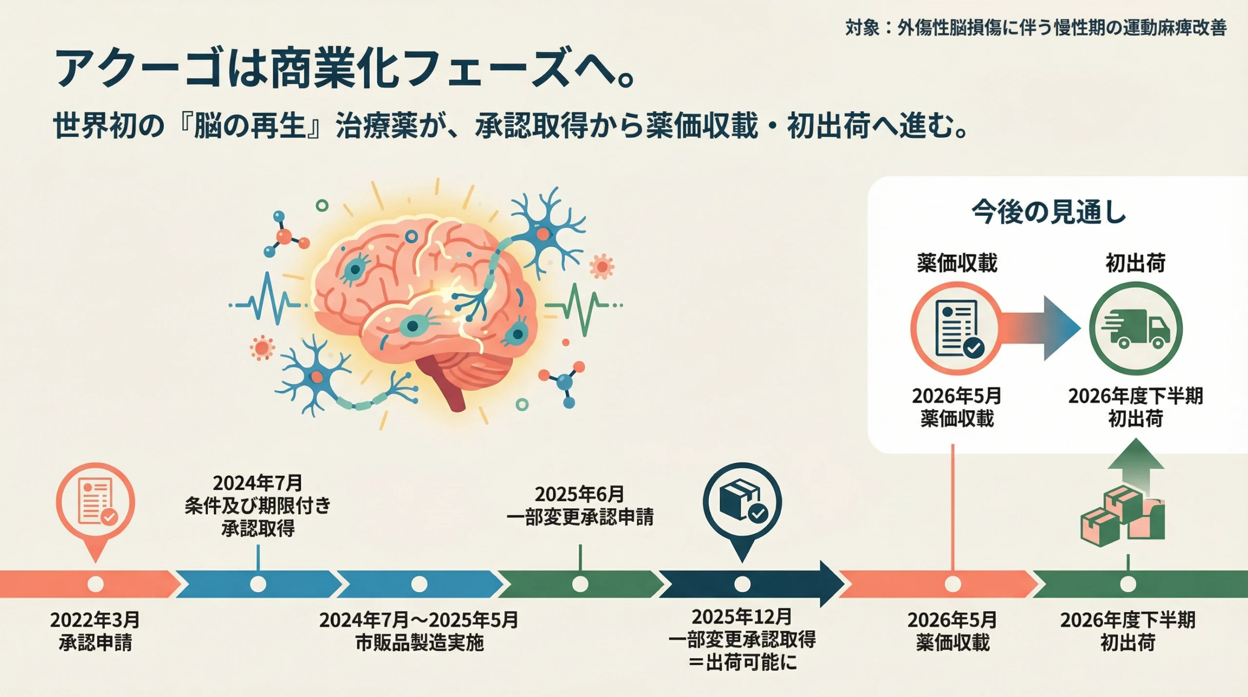 アクーゴの承認申請から条件及び期限付き承認、一部変更承認、薬価収載、初出荷見通しまでの時系列を示すスライド。