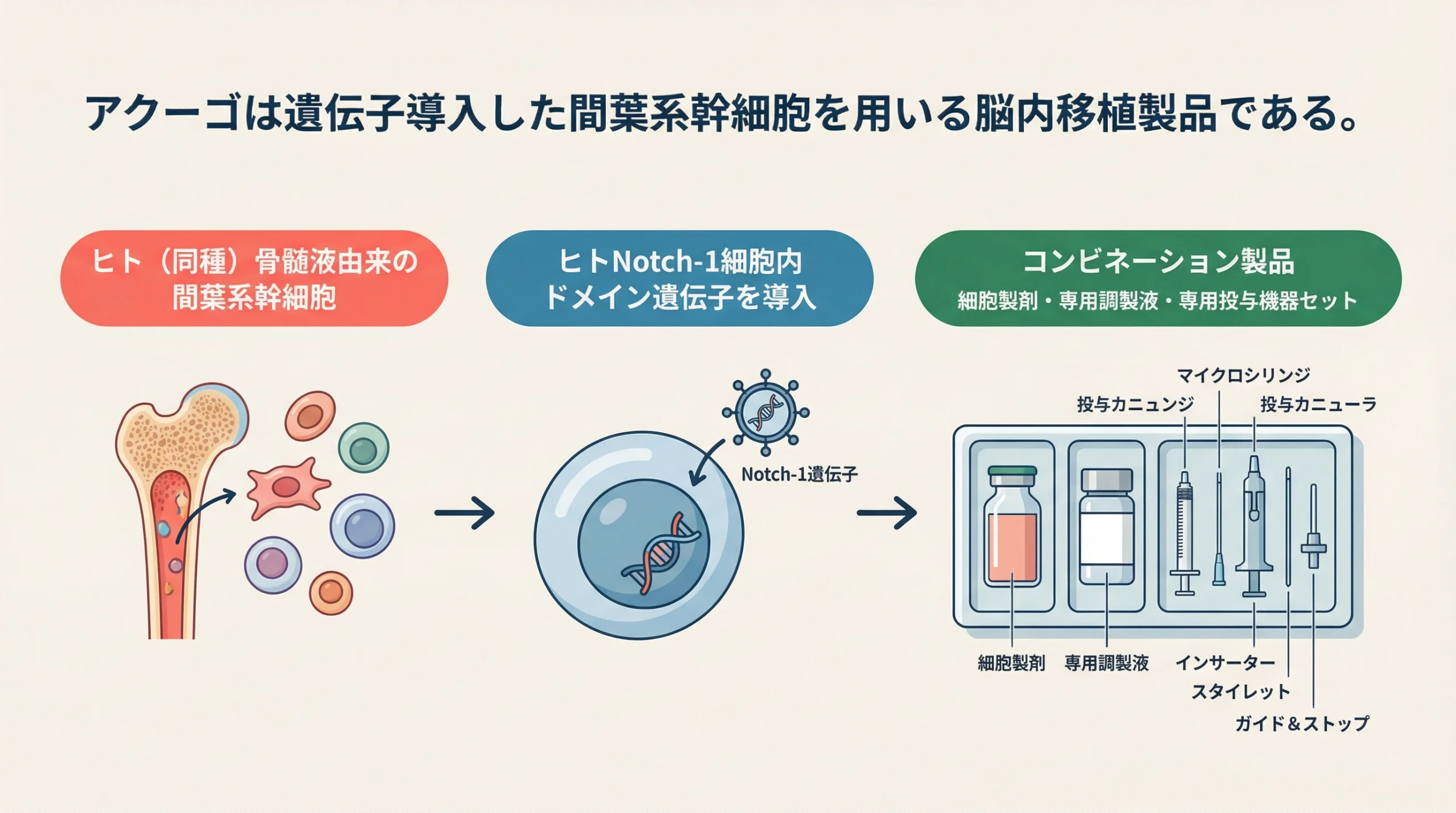 アクーゴの製品構成と専用投与機器セットを示すスライド