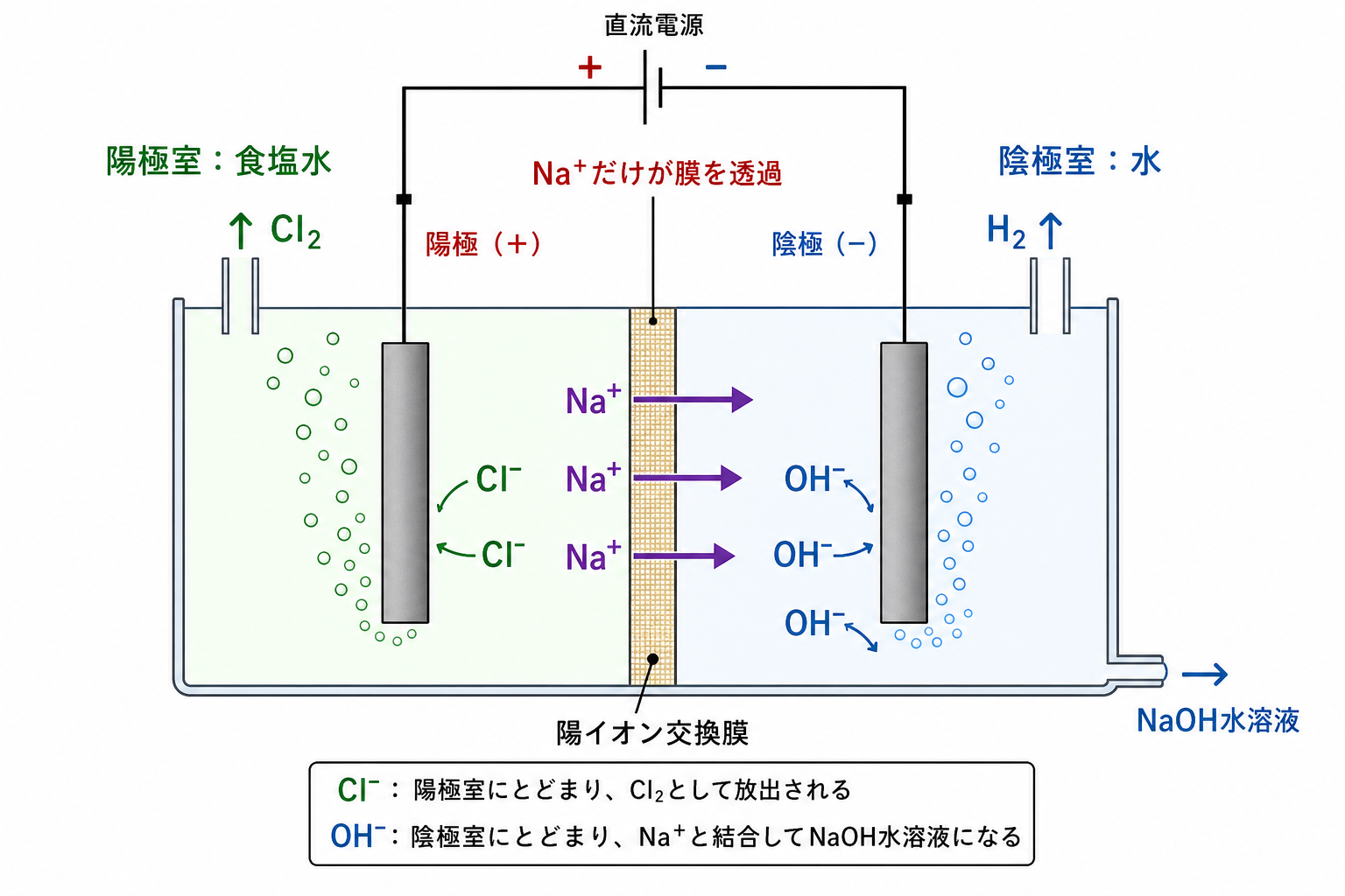 イオン交換膜法食塩電解の陽極室、膜、陰極室と生成物の図