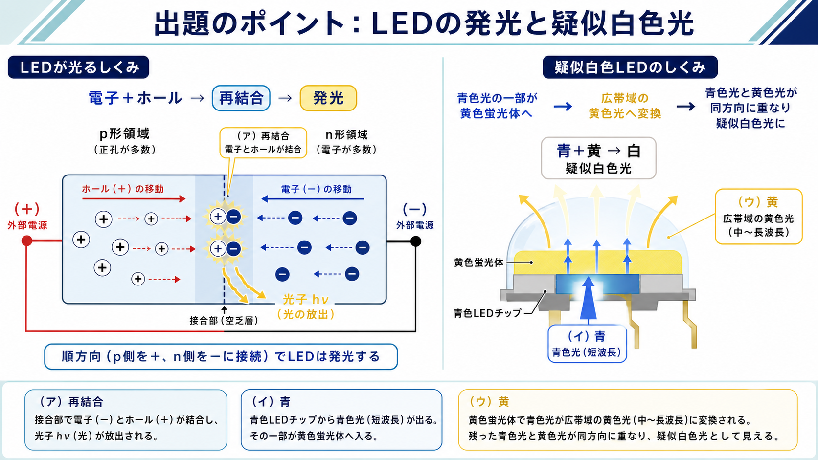 p形側を正、n形側を負に接続したpn接合で電子とホールが再結合して発光し、青色光と黄色蛍光体光が白色になる図