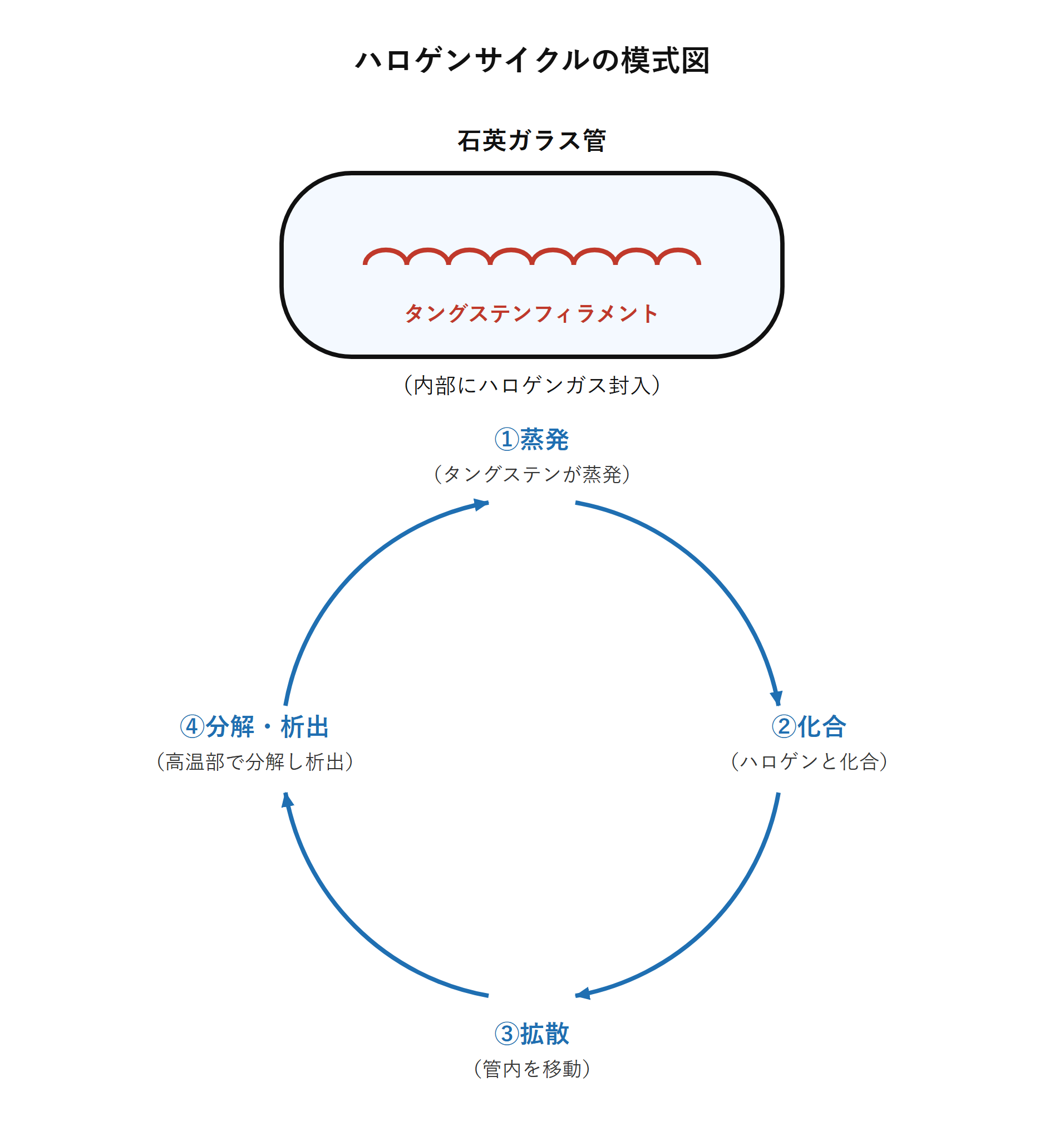 図　ハロゲンサイクルの模式図（自作図）