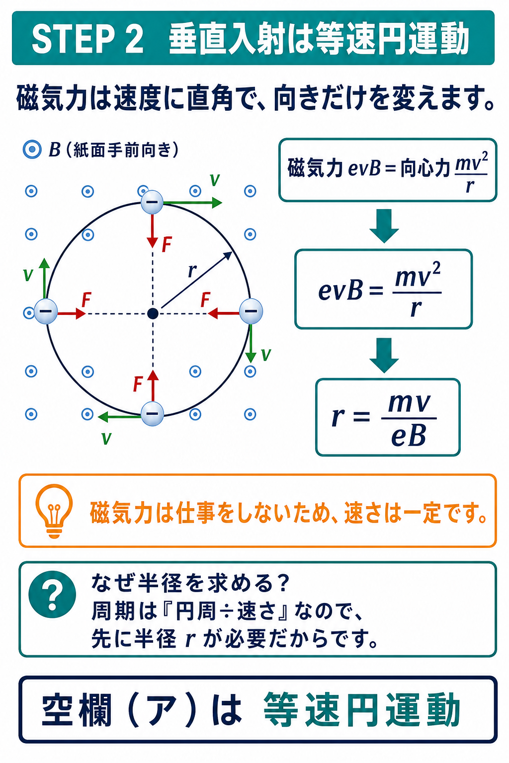 磁界に垂直な電子が等速円運動し、磁気力evBと向心力mv二乗毎rから半径rイコールmv毎eBを導くGPT Image 2生成図