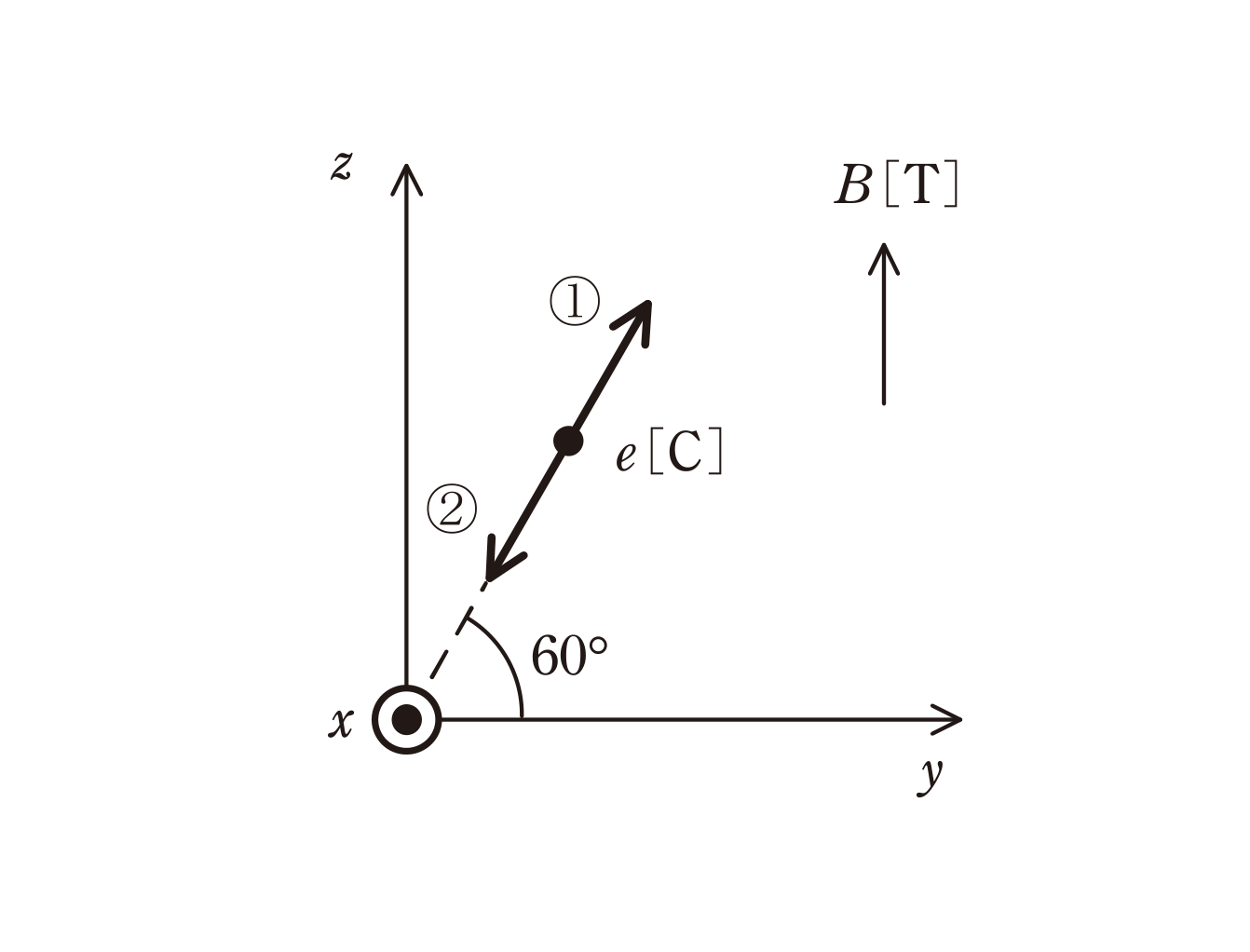 図　磁界B（z軸正）中の荷電粒子（電荷e、y軸から60°）と向き①②（問題図）