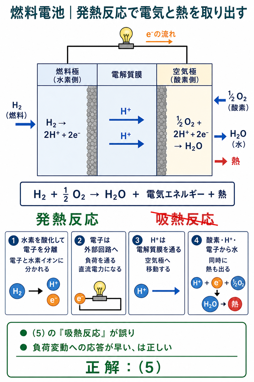 燃料極から外部回路を通って空気極へ流れる電子と電解質膜を通る水素イオンを示した燃料電池の反応図