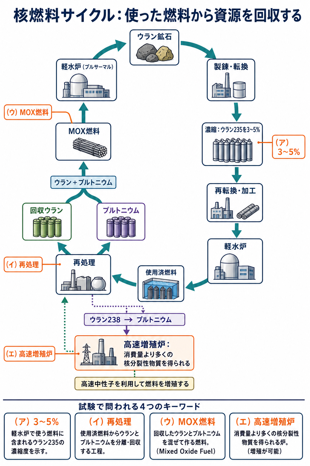 ウラン鉱石から軽水炉使用済燃料再処理MOX燃料へ循環する核燃料サイクル図